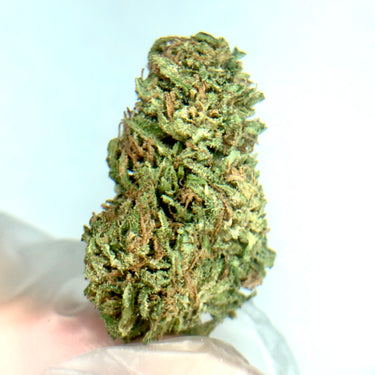 SUVER HAZE in Mylar Bag - Waco Hemp Farm - High Grade Craft Hemp Flower